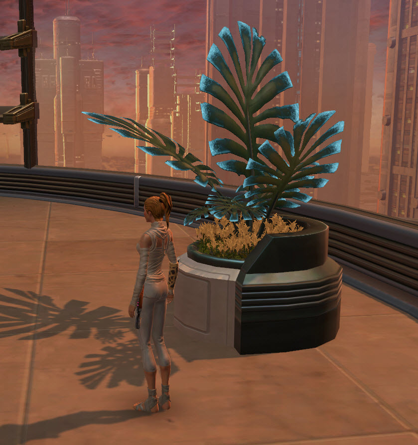 swtor-decorations-potted-plant-manaan-fern-2