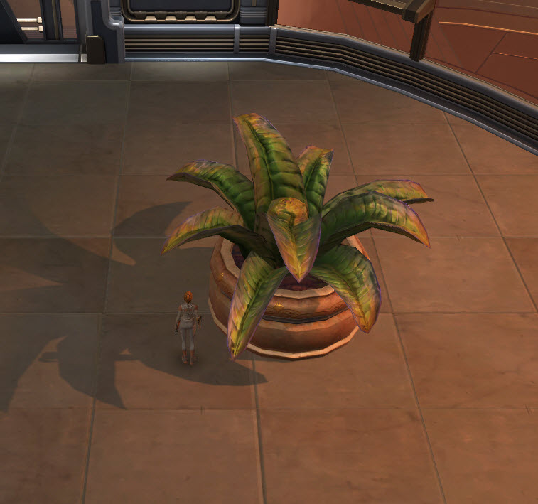swtor-potted-plant-large-fern