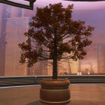 Potted Tree: Autumn