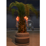 Potted Tree: Rakata Palm