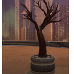 Infected Tree