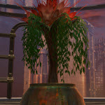 Tree: Tree of Paradise
