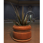 Potted Plant: Yavin Octogave Plant