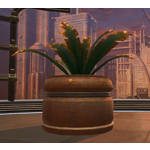 Potted Plant: Yavin Cave Fern