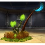 Contagious Plants