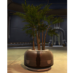 Potted Plant: Zakuul Vertical Bush