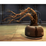 Potted Tree: Dead Ziost Tree