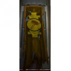 Banner: Asylum (Hanging)