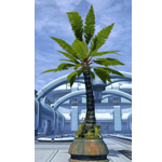 Potted Tree: Breezy Palm