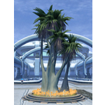 Tree: Tropical Copero Palm