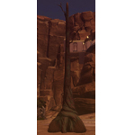 Petrified Tree